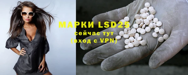 PSILOCYBIN Нея