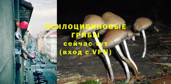 бошки Дмитриев