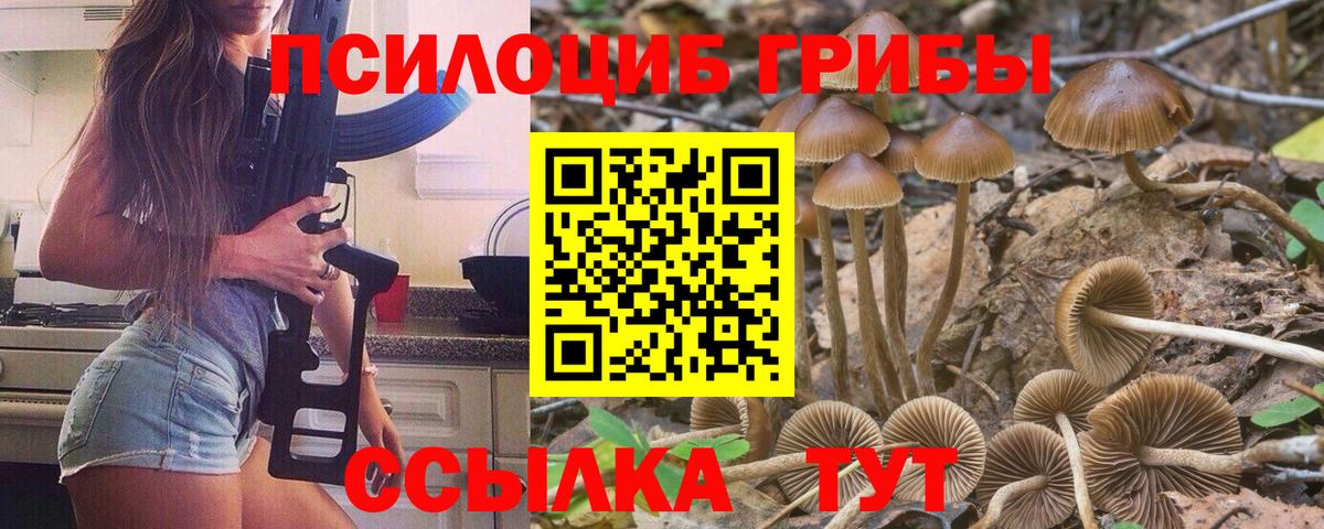 Галлюциногенные грибы Psilocybine cubensis  Галлюциногенные грибы MAGIC MUSHROOMS  Вход с VPN  Краснодар 