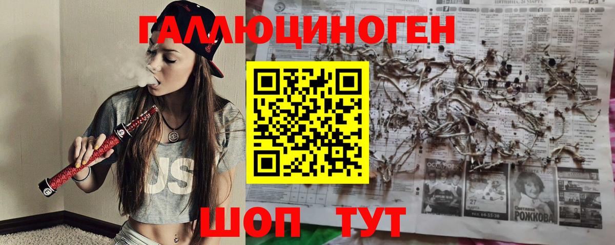 Галлюциногенные грибы Psilocybine cubensis Краснодар