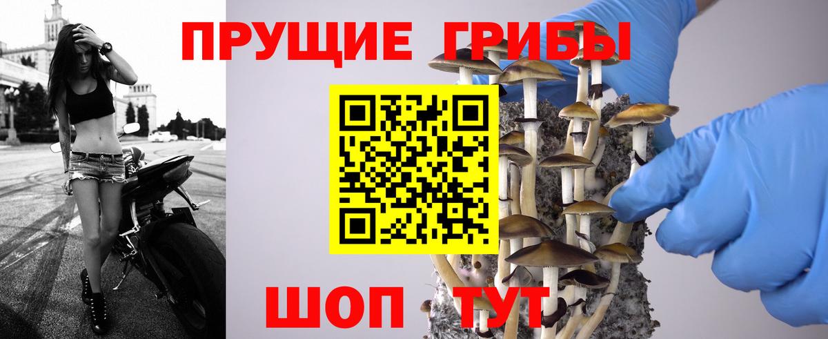 Alpha PVP СОЛЬ   Меф МЯУ МЯУ кристаллы  ГАШ  ЭКСТАЗИ  Краснодар  Канабис  Марихуана 